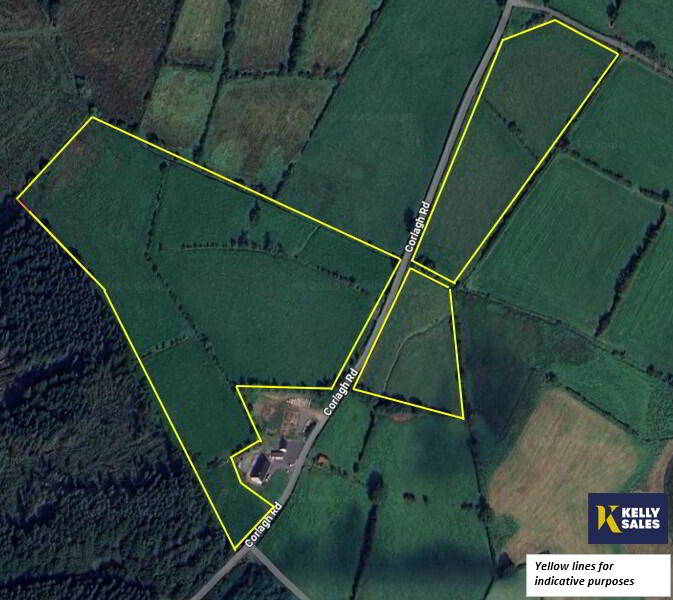 16.5 Acres Farmland, Corlagh Road, Dromore