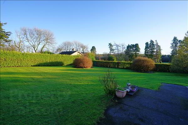 Ballyduff West 13 of 18