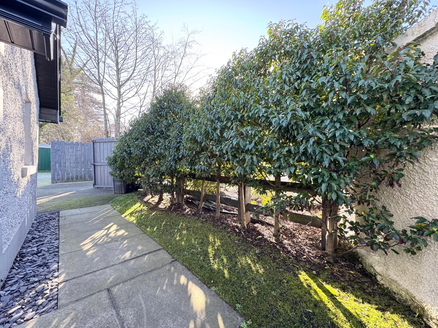 33 Moy Road 28 of 28