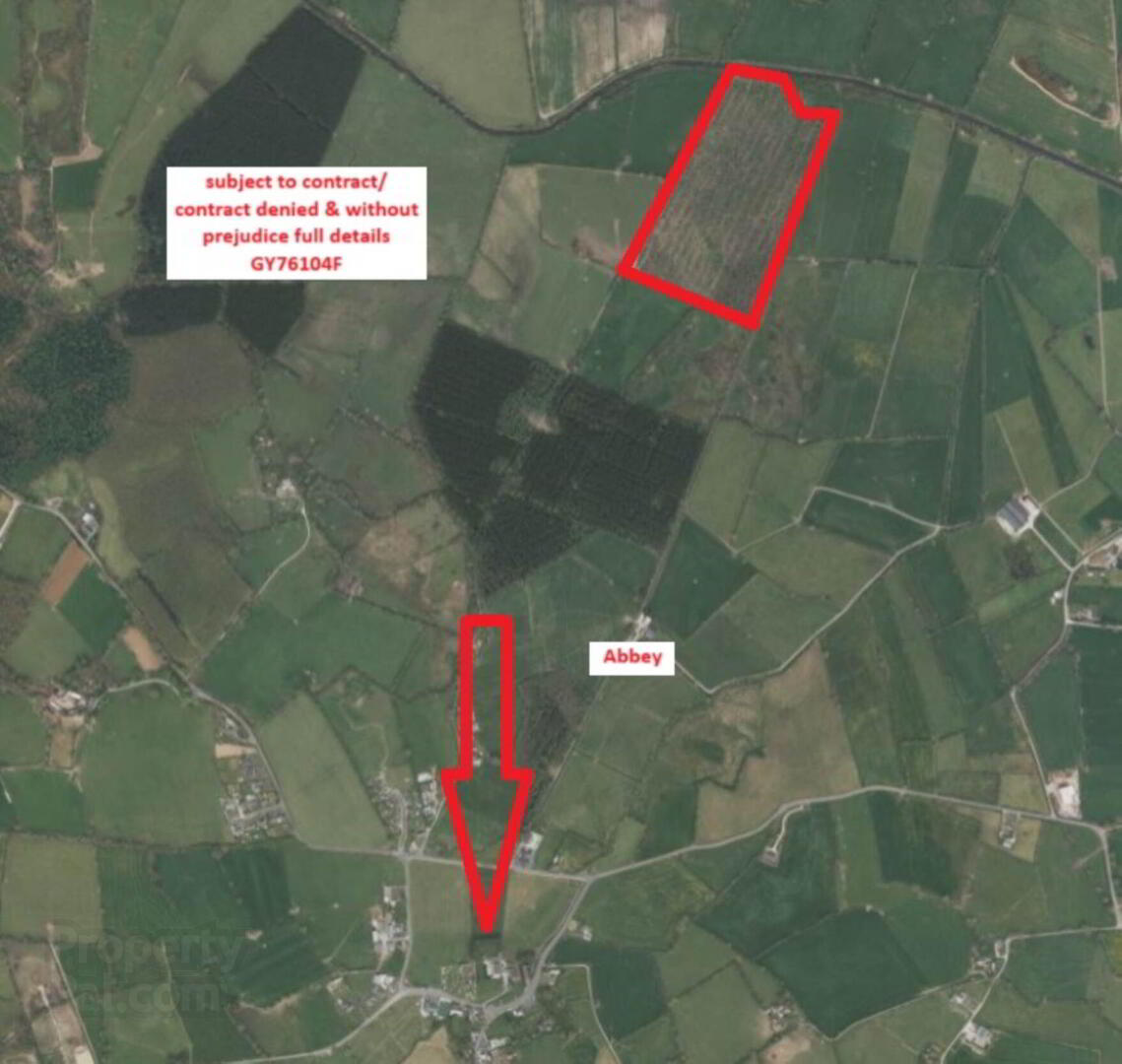 Approx. 24 Acres Of Land, Abbey