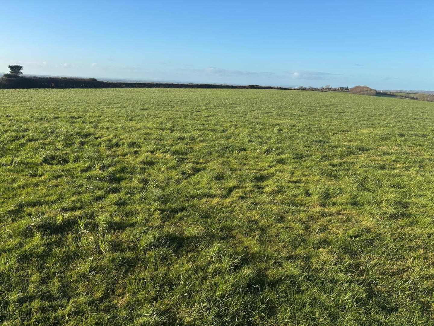 9.89 Acres Of Agricultural Land, Rosevale Road