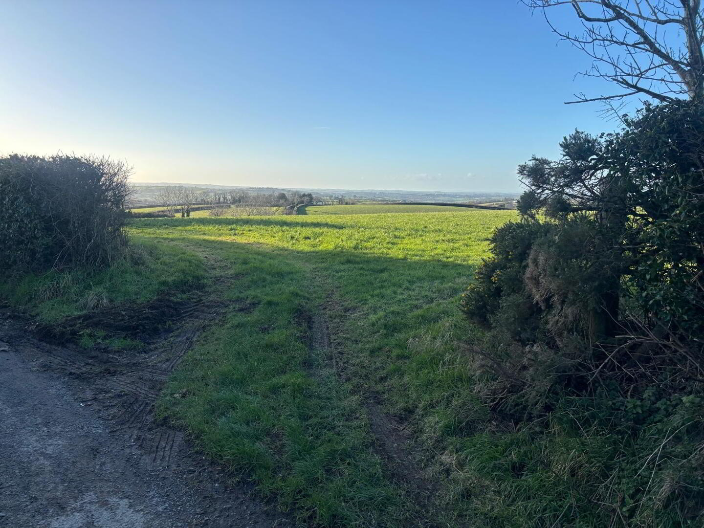 9.89 Acres Of Agricultural Land, Rosevale Road