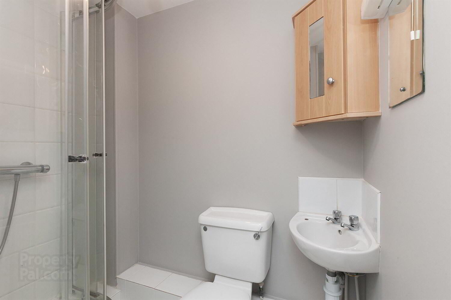 Apt 6 Terrace Cottage, 83 Lower Windsor Avenue 11 of 14