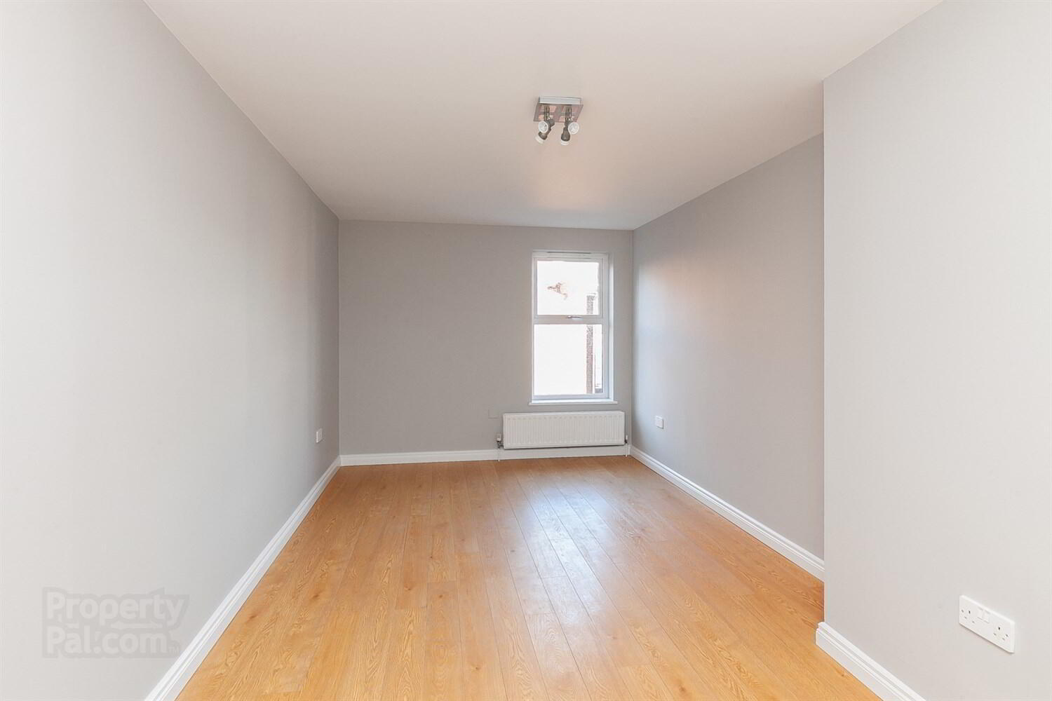 Apt 6 Terrace Cottage, 83 Lower Windsor Avenue 12 of 14