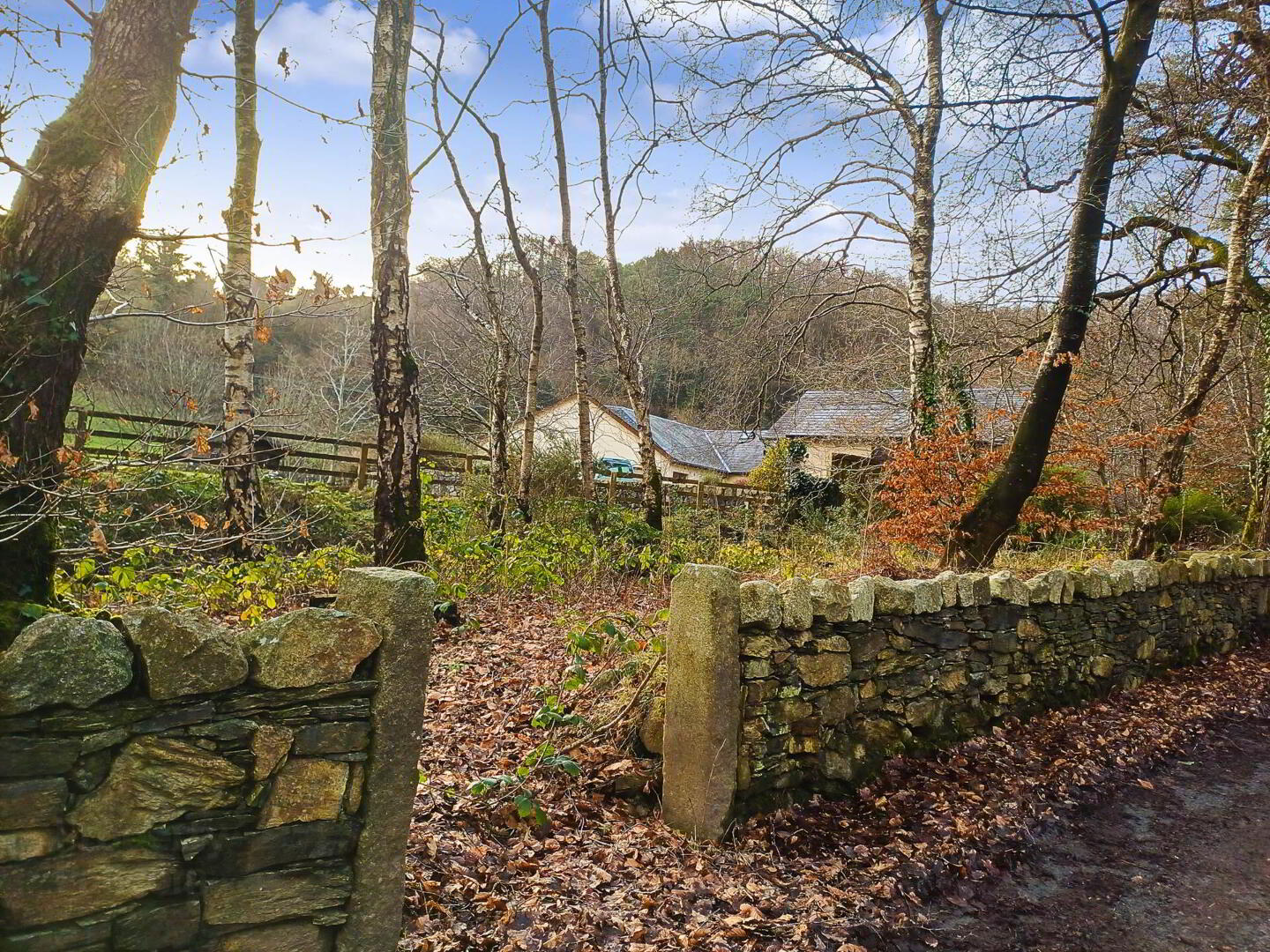 Robin`s Rest 65 of 74