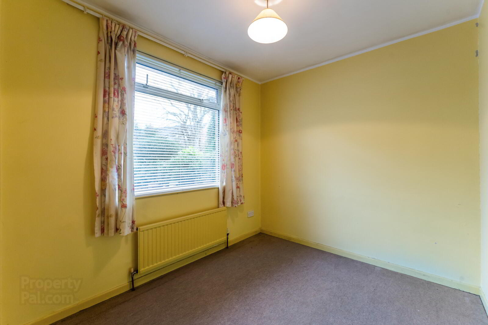 20 Ardmore Road 8 of 21