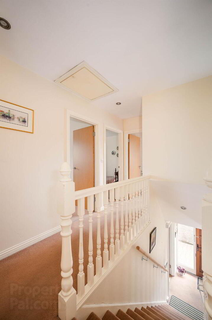 7 Sydenham Avenue 14 of 24