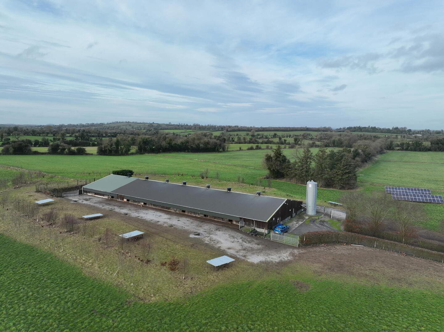 Poultry Farm At Mylestown