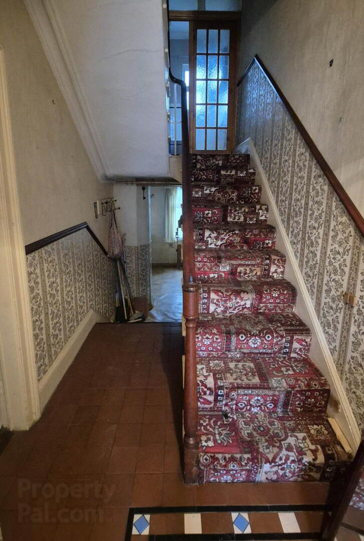 6 Asylum Road 7 of 38