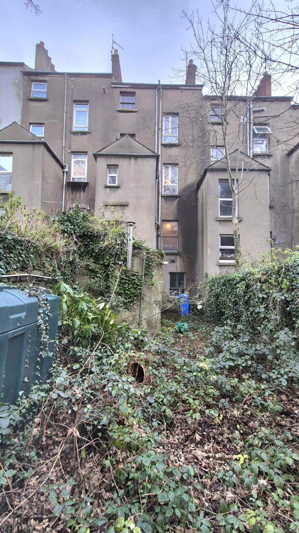 6 Asylum Road 36 of 38