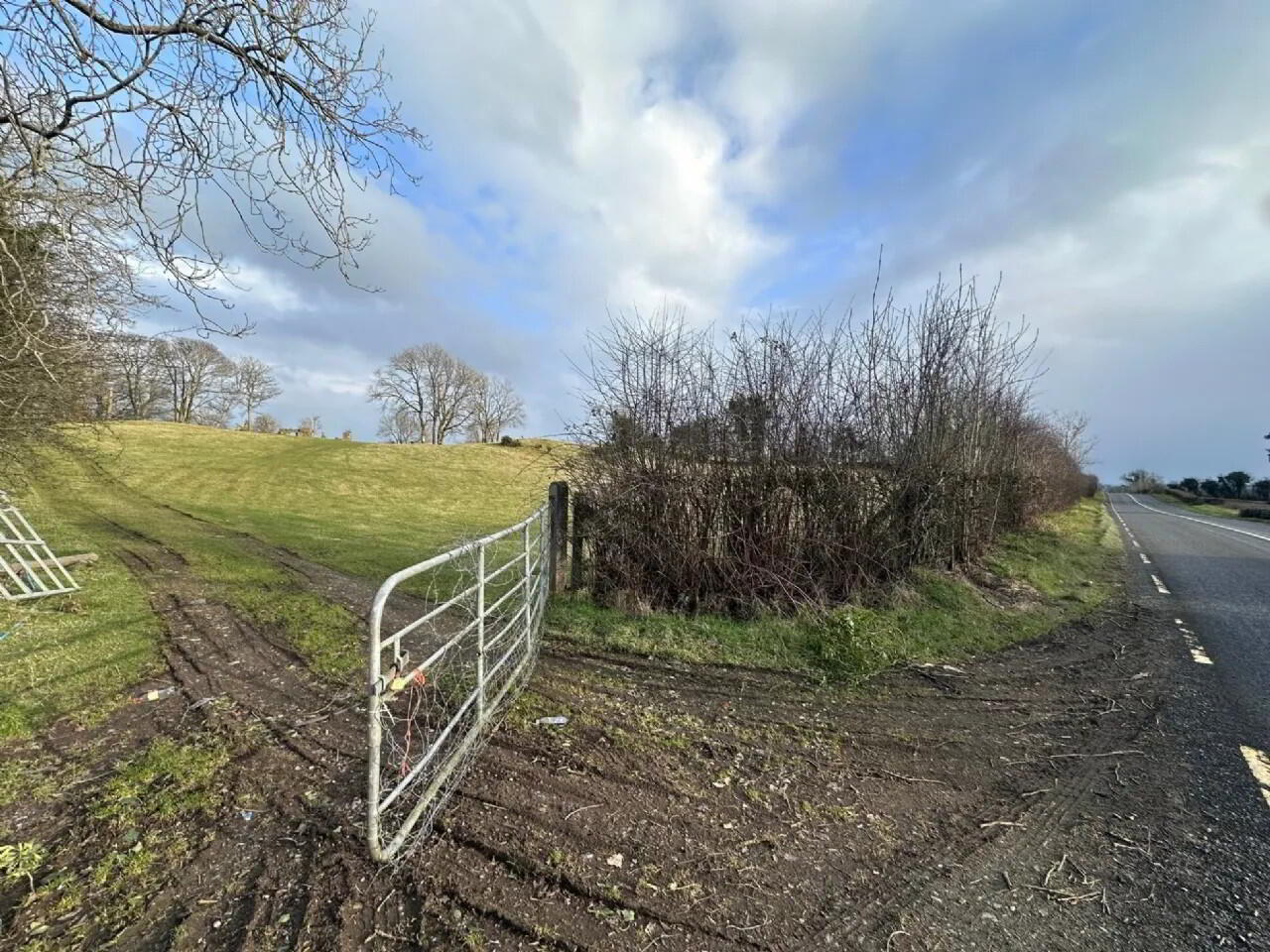property description image