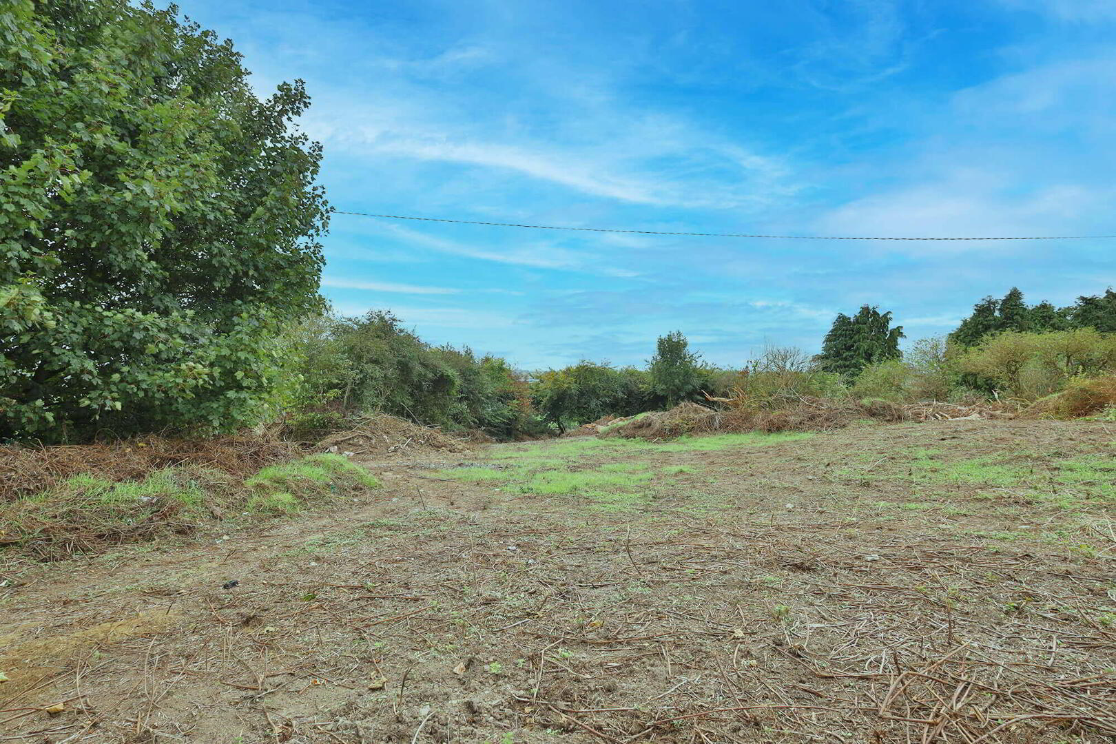 Deerpark Farm 13 of 16