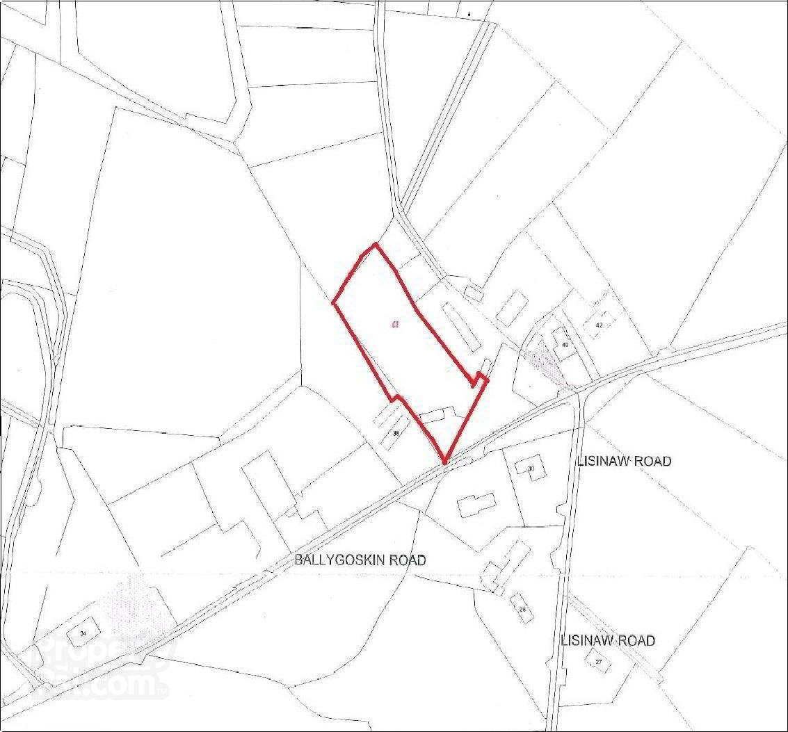 Lands & Stone Stores Between, 38 & 40 Ballygoskin Road