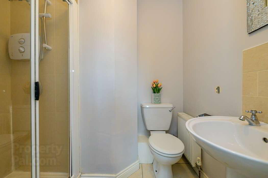 65 Chestnut Grove 13 of 20