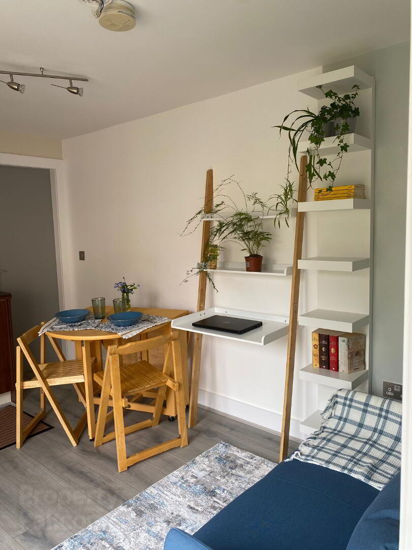 Studio 1 ( Available March ), 82 Ashley Avenue 5 of 9