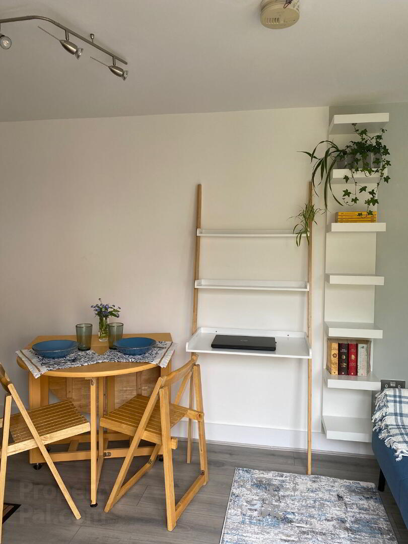 Studio 1 ( Available March ), 82 Ashley Avenue 7 of 9