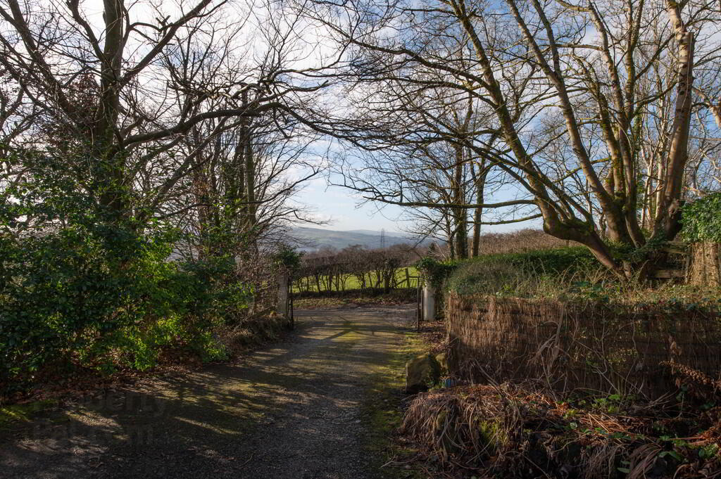 Silversprings Farm, 126 Old Carrick Road 5 of 49