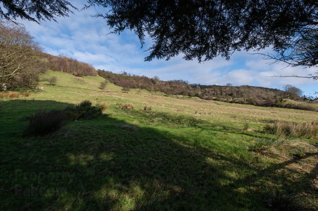 Silversprings Farm, 126 Old Carrick Road 44 of 49