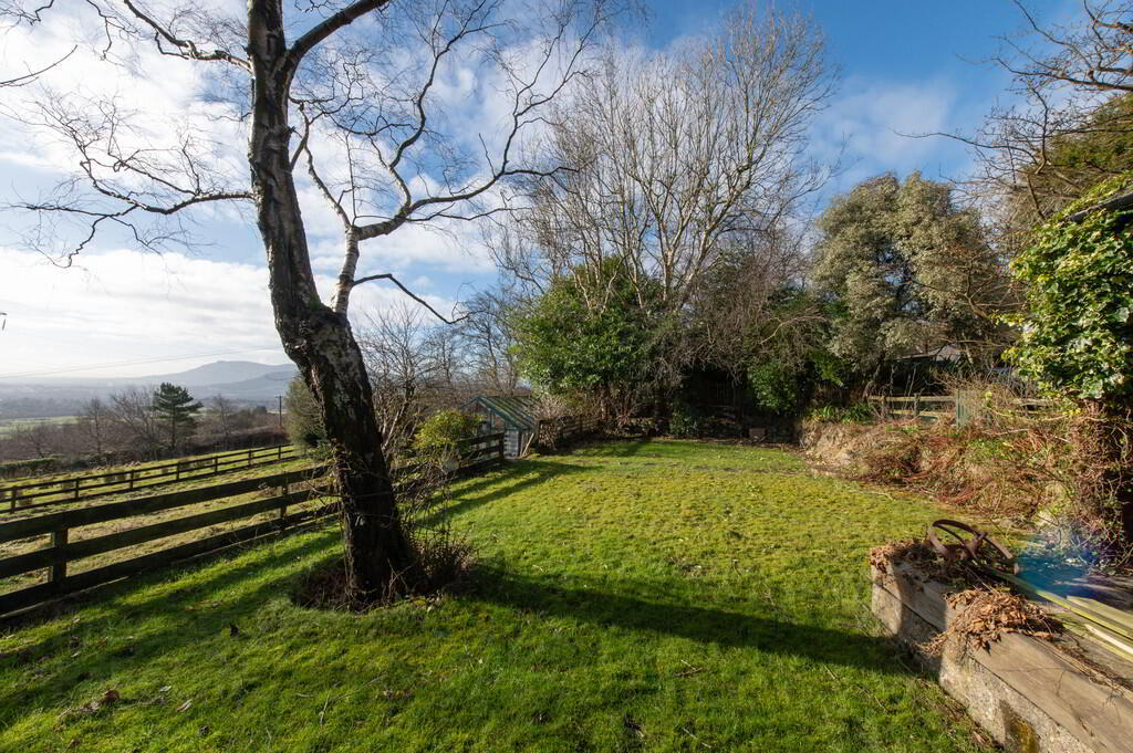 Silversprings Farm, 126 Old Carrick Road 45 of 49