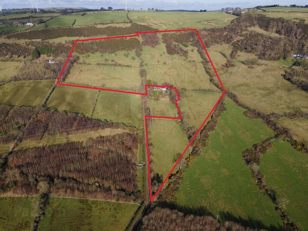 Silversprings Farm, 126 Old Carrick Road 49 of 49
