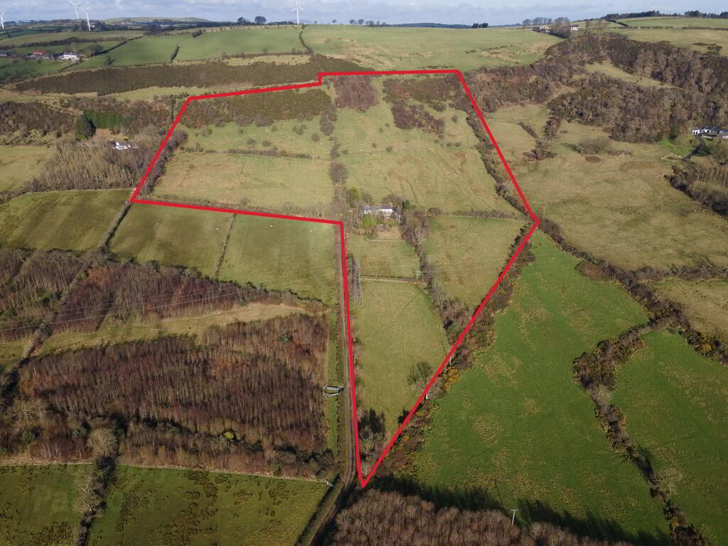 Silversprings Farm, 126 Old Carrick Road 47 of 49