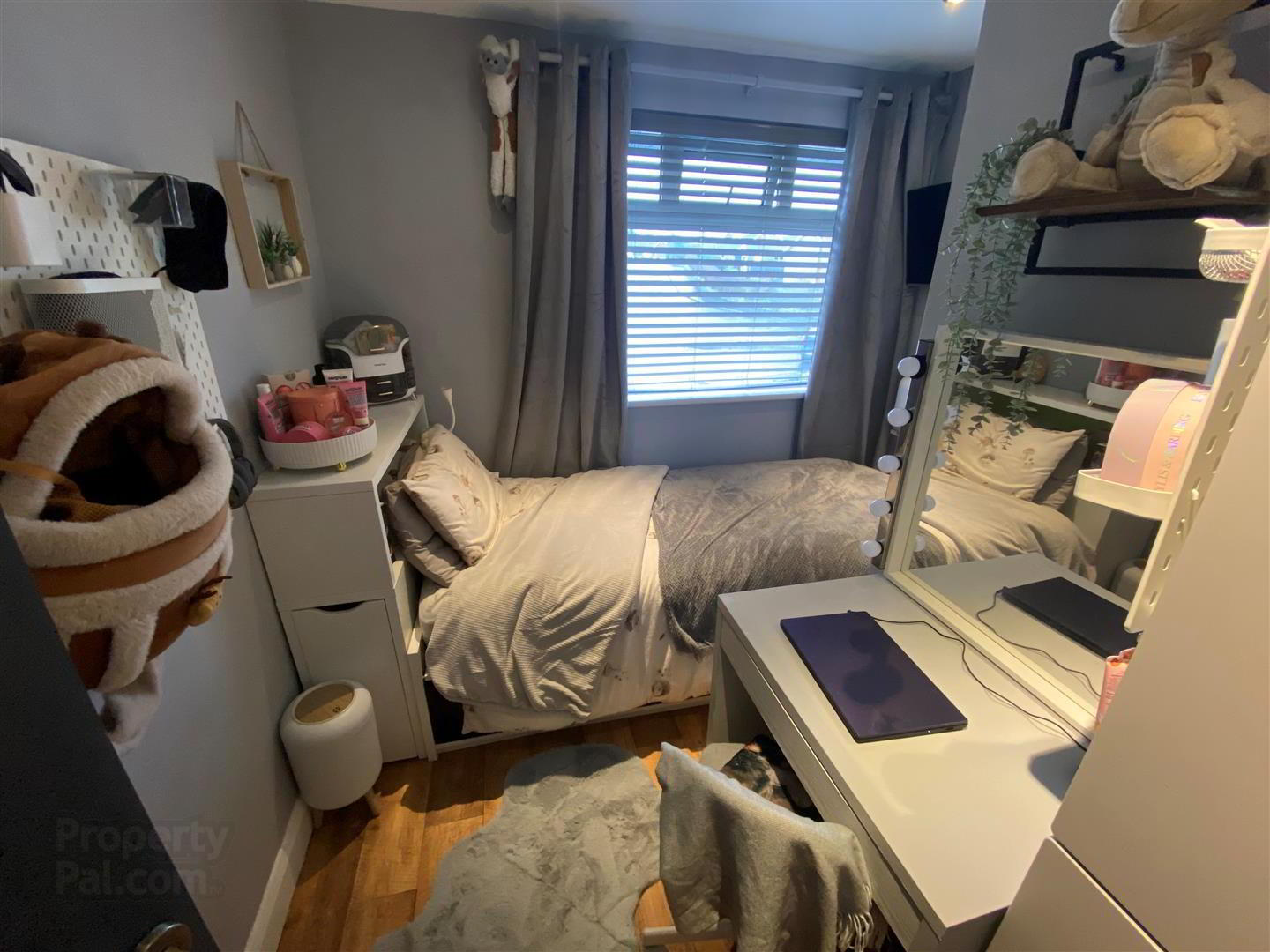 8 Dellmount Road 7 of 15
