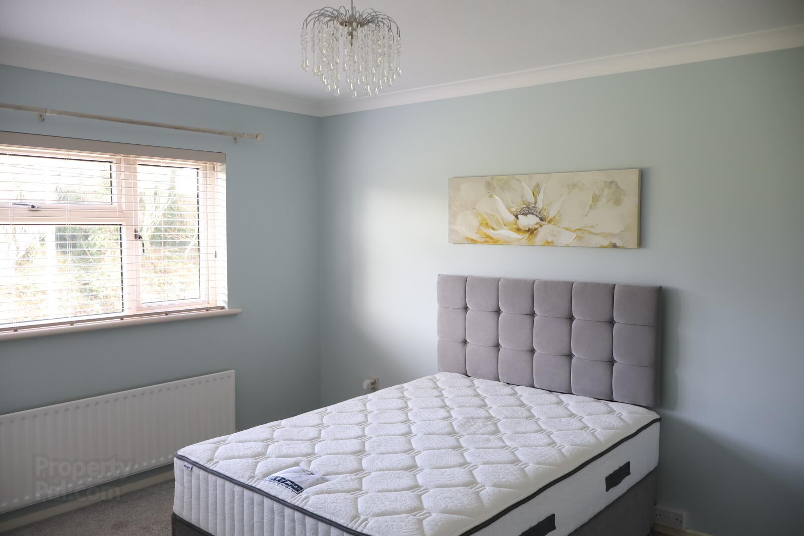 29 Alexander Road 9 of 12