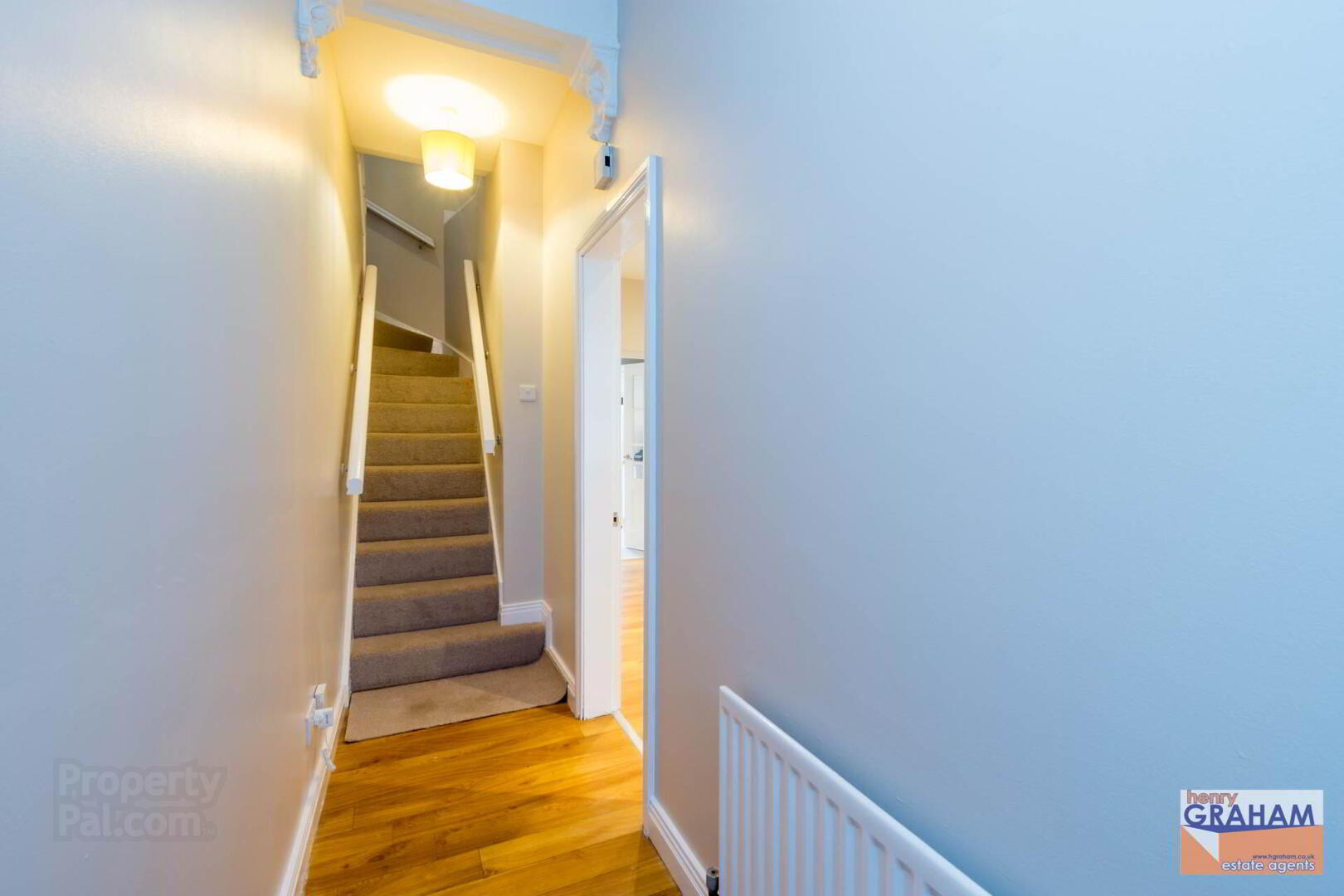 7 Iveagh Terrace 4 of 20