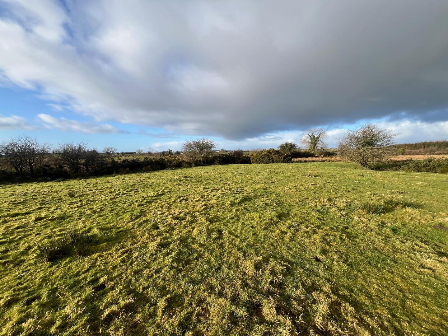 C 27.20 Acres Of Land At Ballintaffy