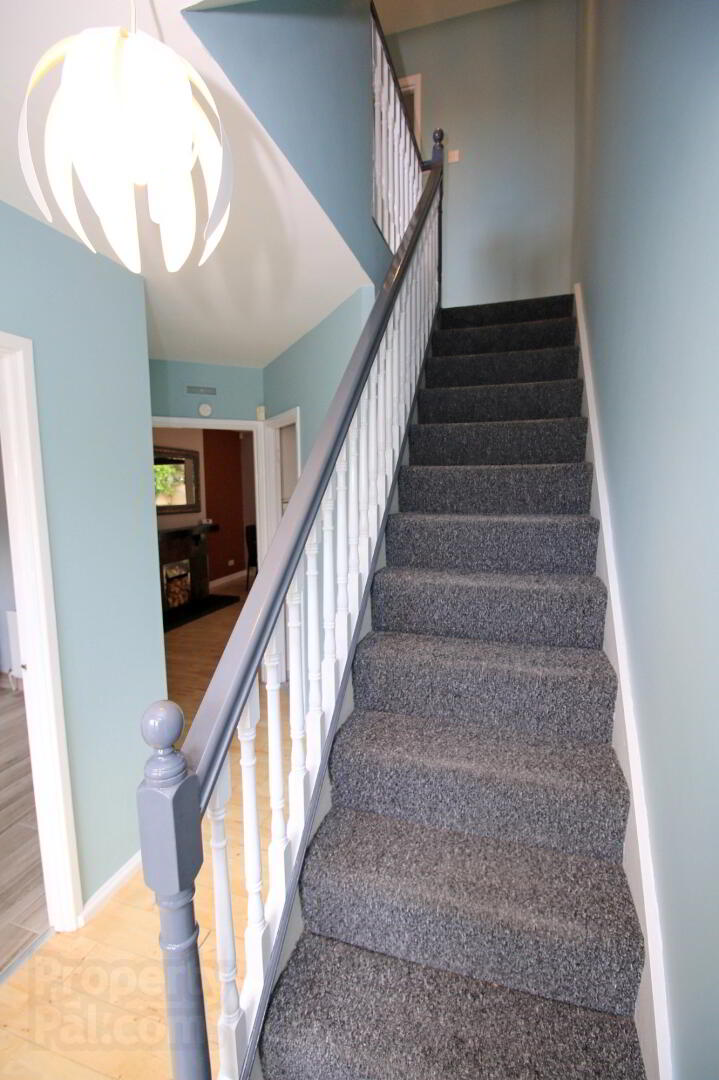 13 Upper Malone Crescent 6 of 12