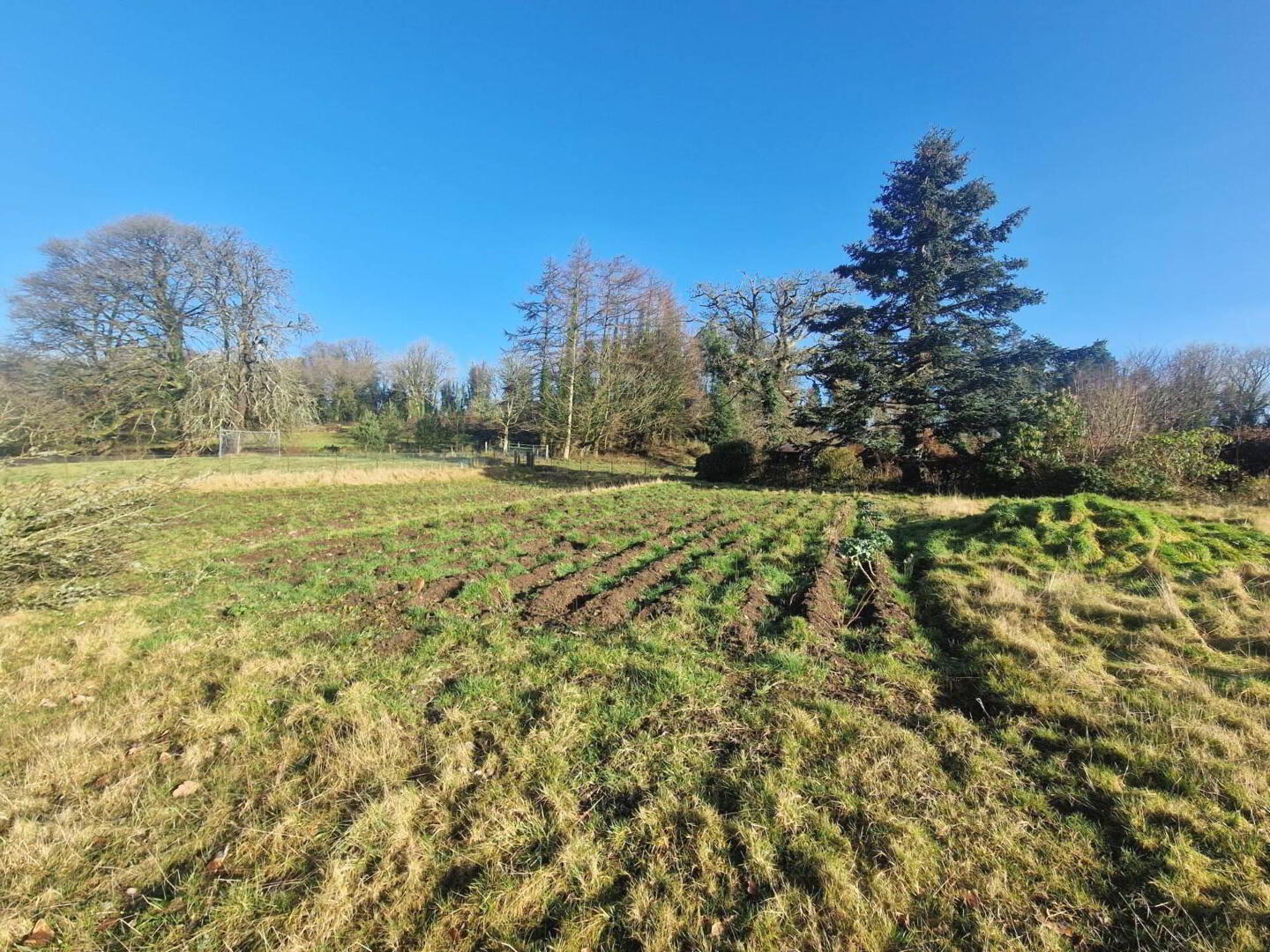 property description image