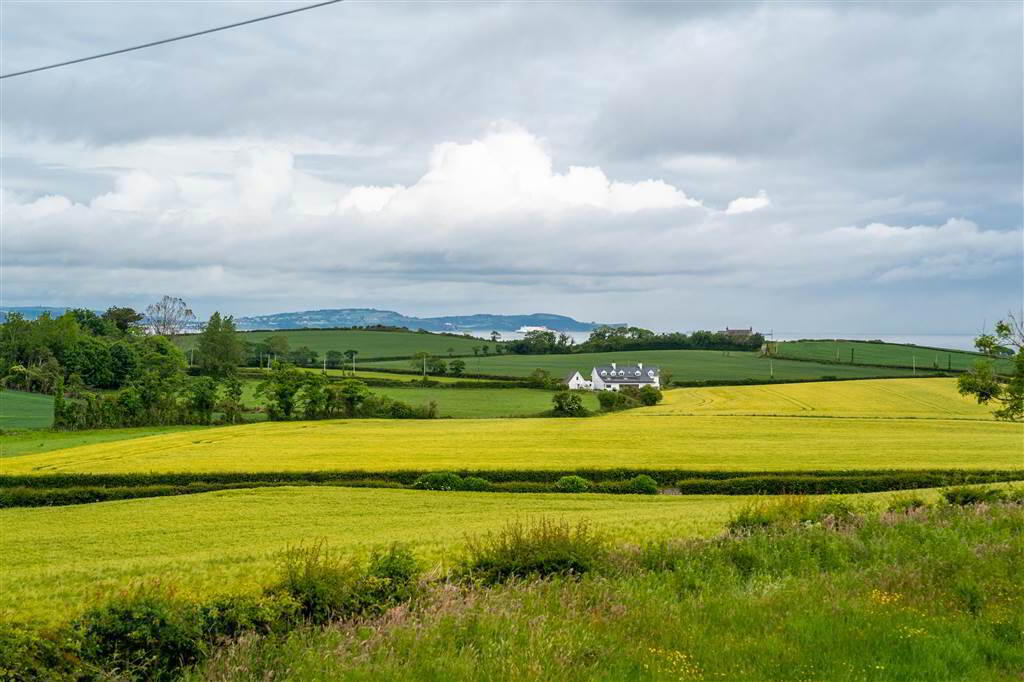 37 Ballymacormick Road 9 of 12