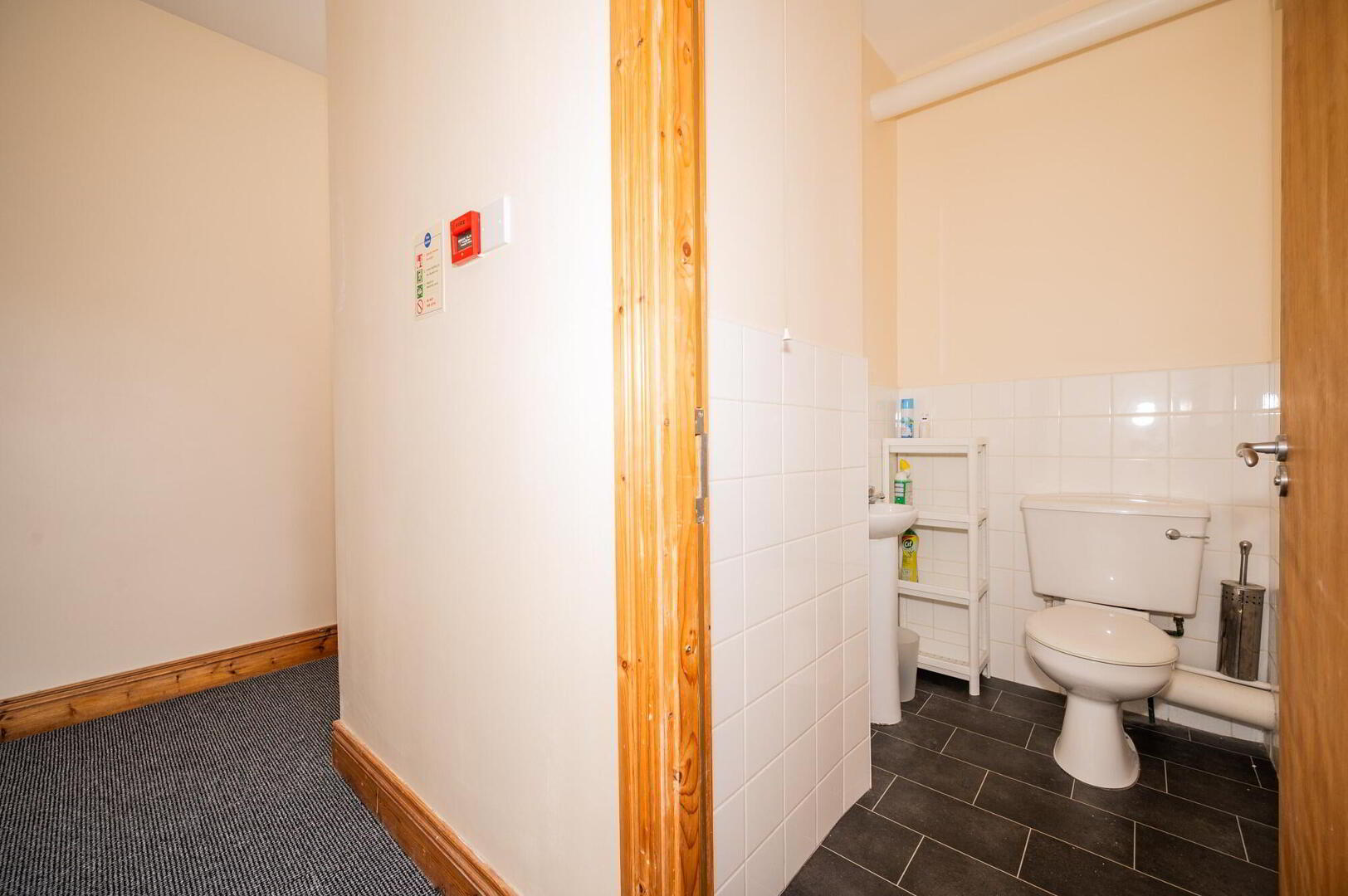 Apt 2, 32 Malone Avenue 9 of 13