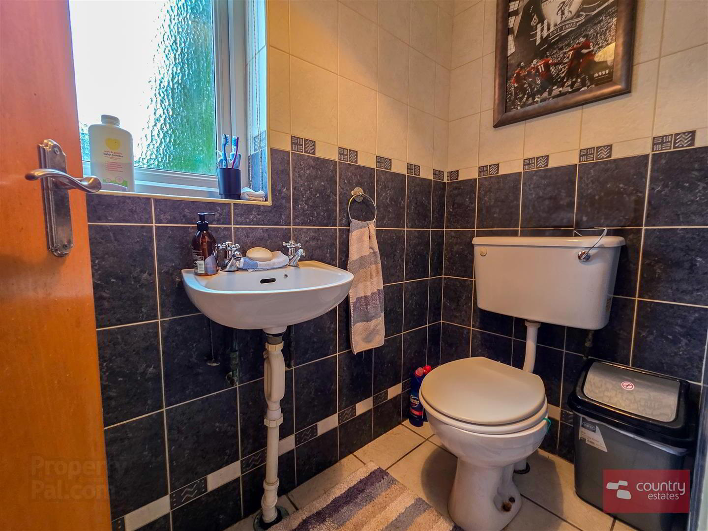 19 Tyrone Street 12 of 24