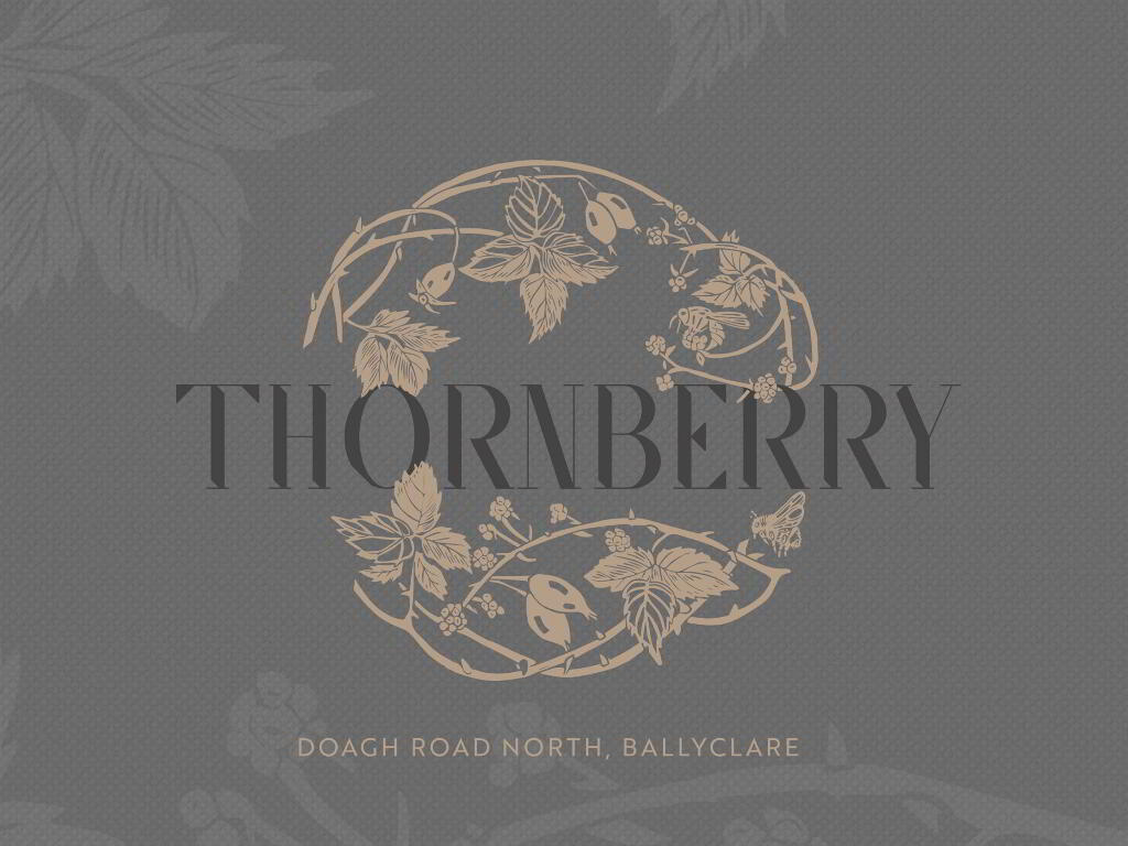 Photo 1 of Thornberry, Ballyclare