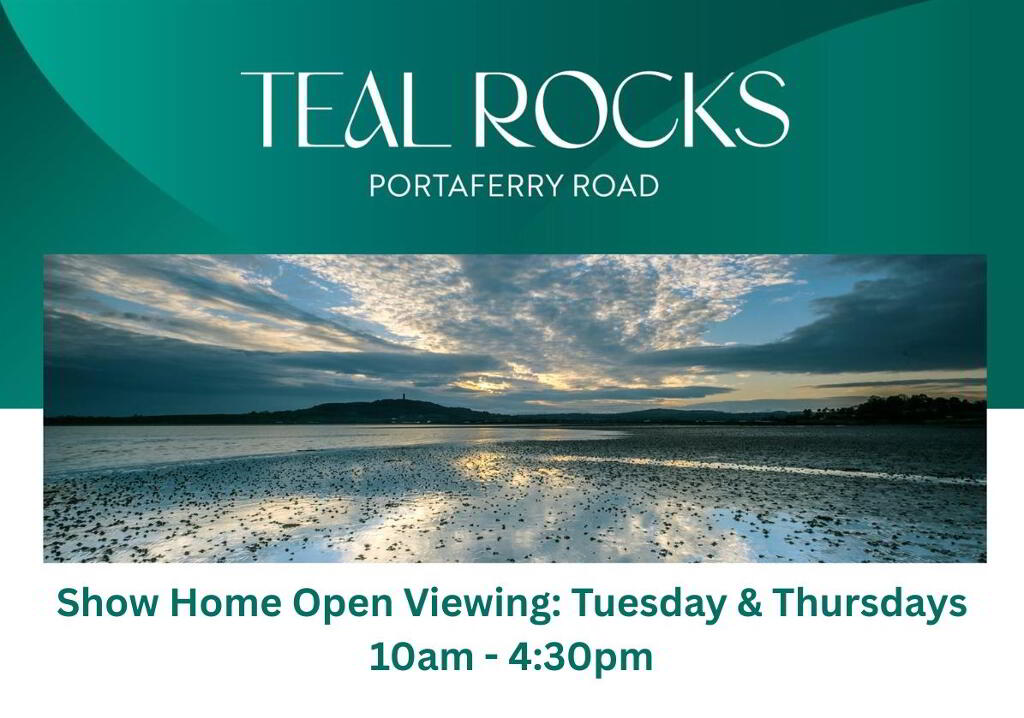 Teal Rocks, Newtownards photo