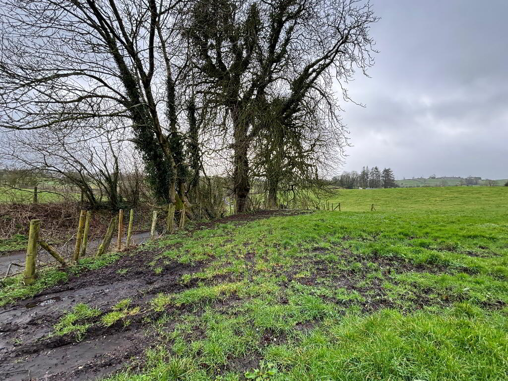  Adjacent To And South Of 14 Tullylinton Road