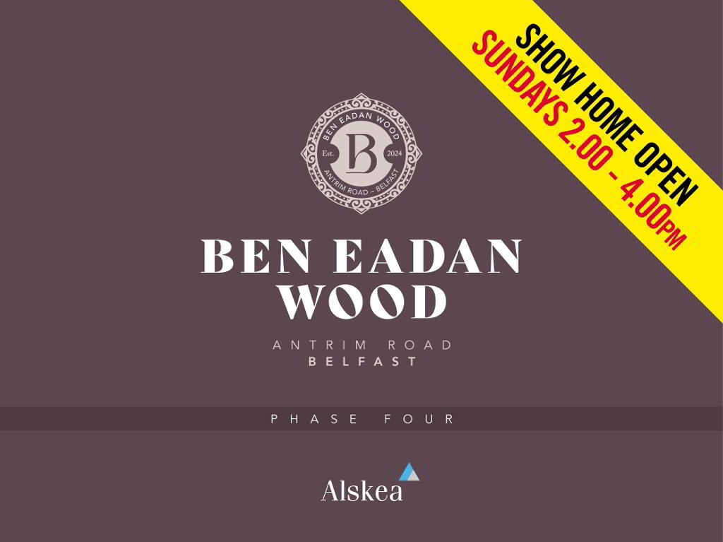 Ben Eadan Wood, Antrim Road, Belfast photo