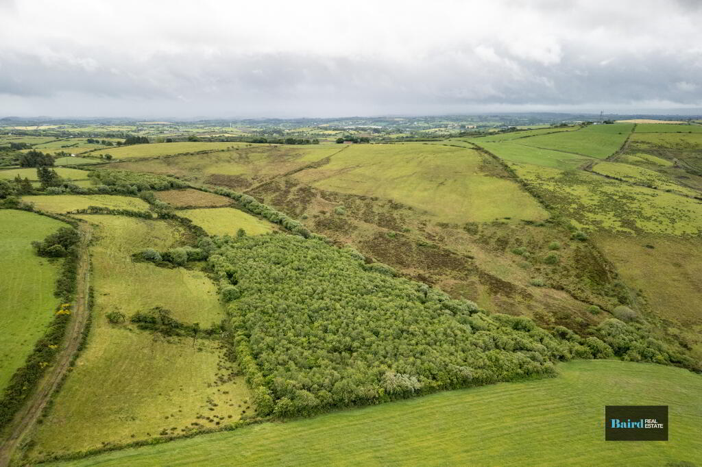  Dwelling And 19 Acres, 31 Altaglushan Road