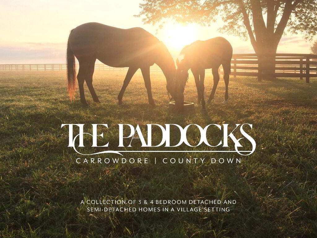 Photo 1 of The Paddocks, Newtownards