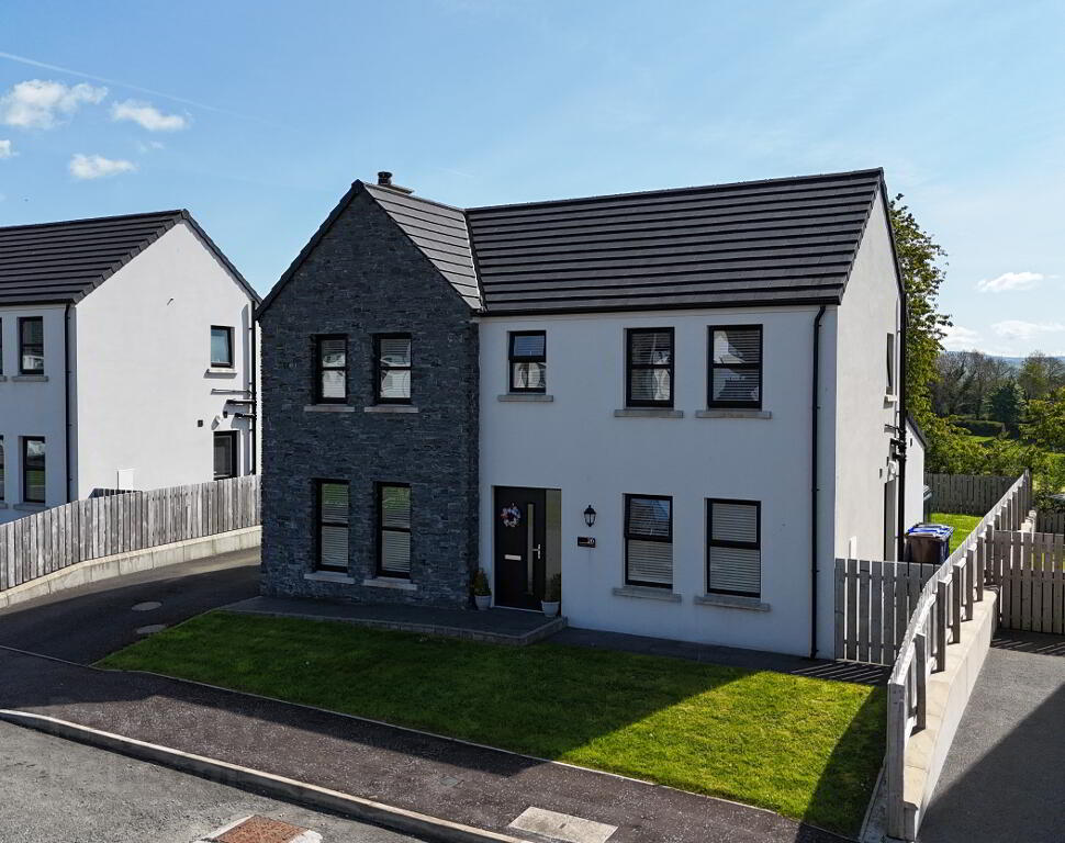 Photo 47 of 20 Riverview Manor, Castlederg