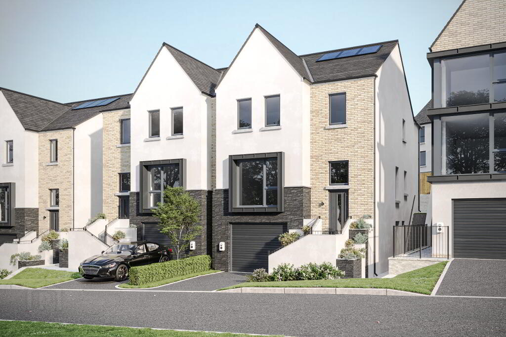 The Boston Fern, Ferndene, Dundonald, Belfast