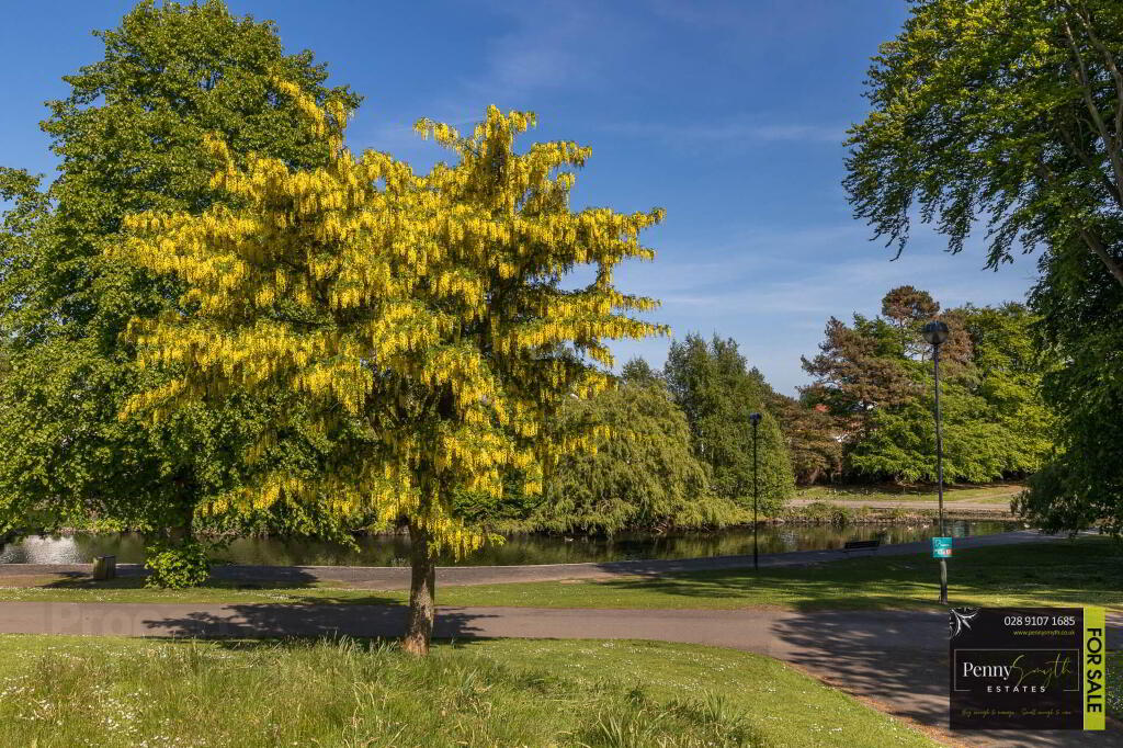 Photo 61 of 10 Park Drive, Bangor