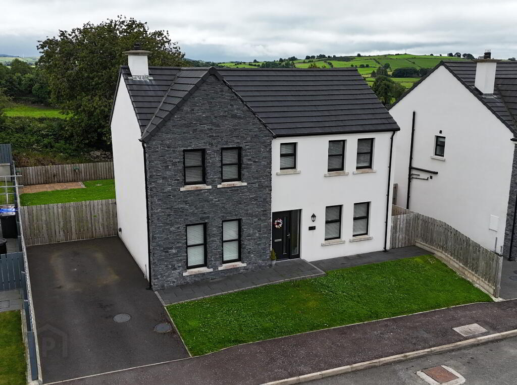 Photo 1 of 20 Riverview Manor, Castlederg