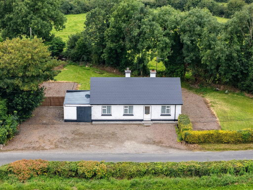 Ballagh, Newtowncashel, N39D393