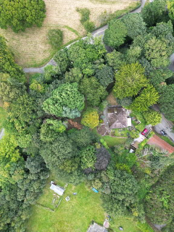 Photo 4 of 5 Donard Park, Newcastle