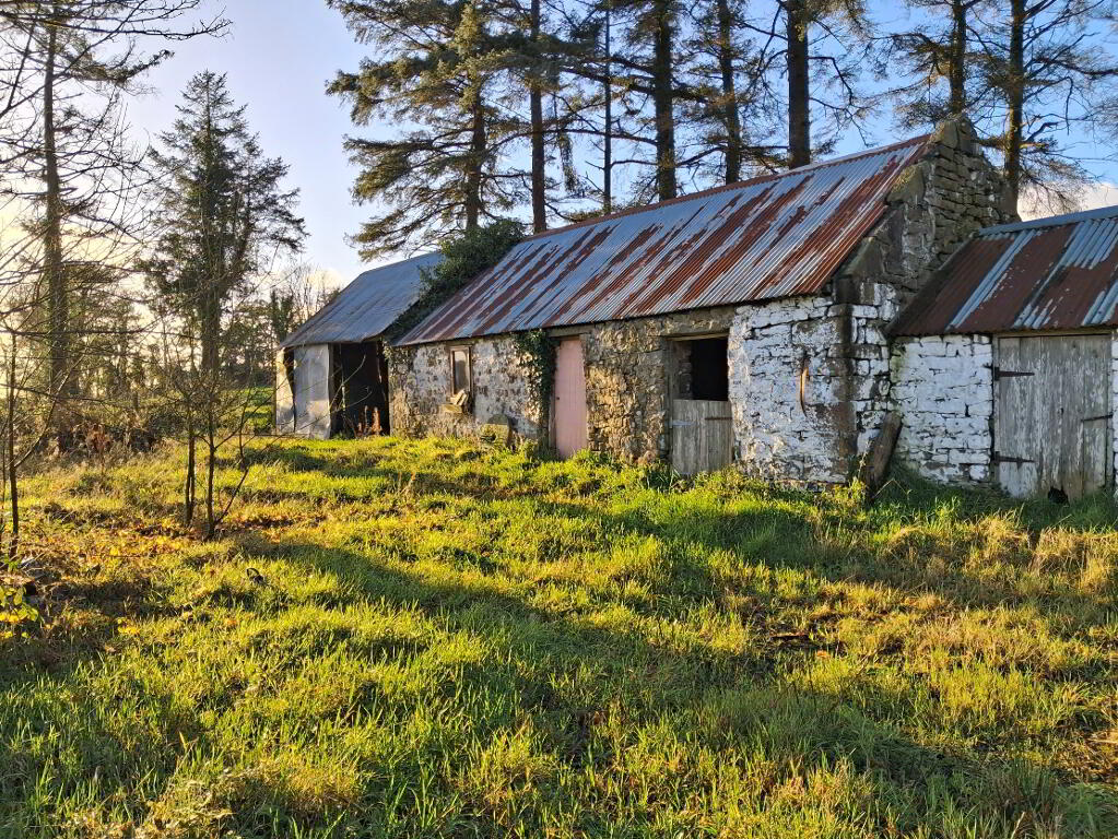 Photo 1 of Eshnadarragh Road, Crockada, Roslea