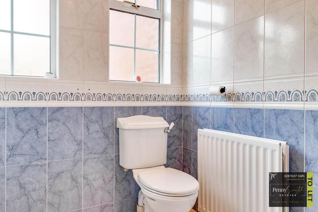 Photo 28 of 5 Belgravia Avenue, Bangor