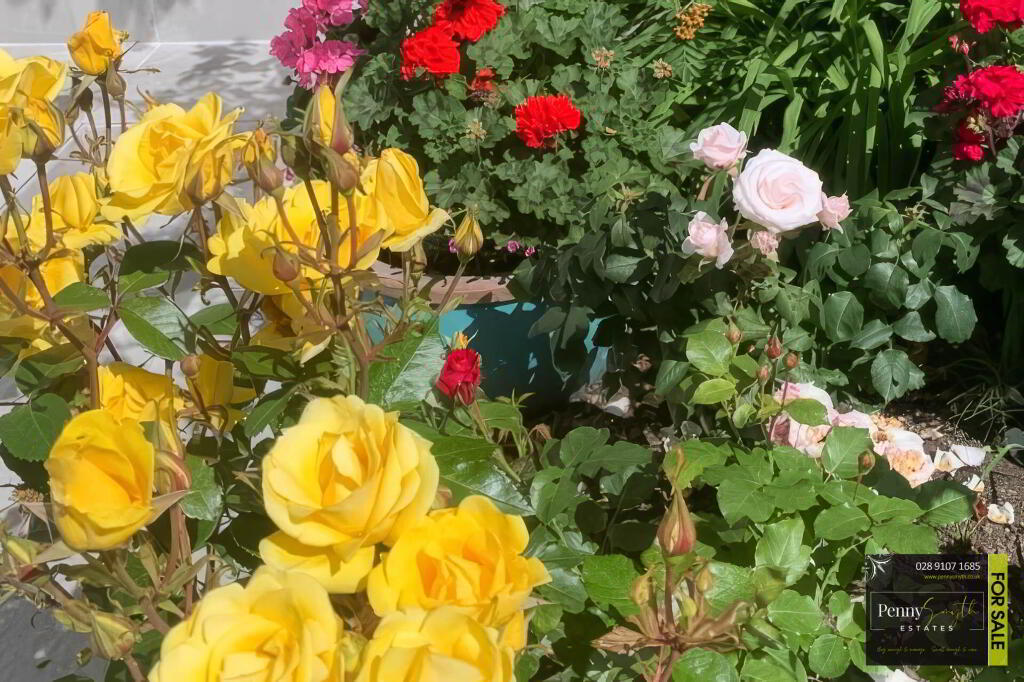 Photo 43 of 6 Elsinore Avenue, Bangor