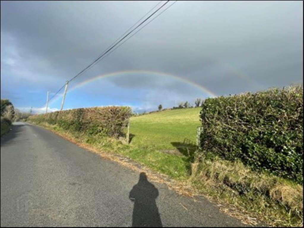 Photo 1 of Land Adjacent To, 10 Old Park Road, Loughinisland